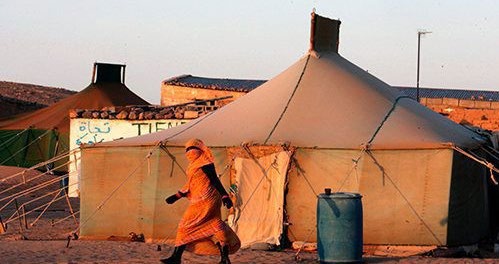 L'ICD appelle à une campagne internationale pour enregistrer les détenus à Tindouf